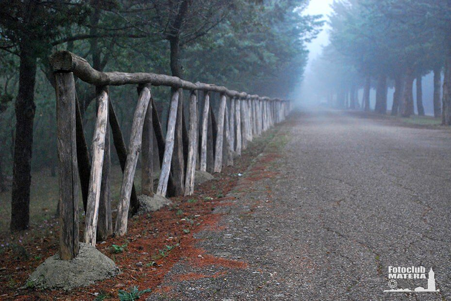 Nebbia