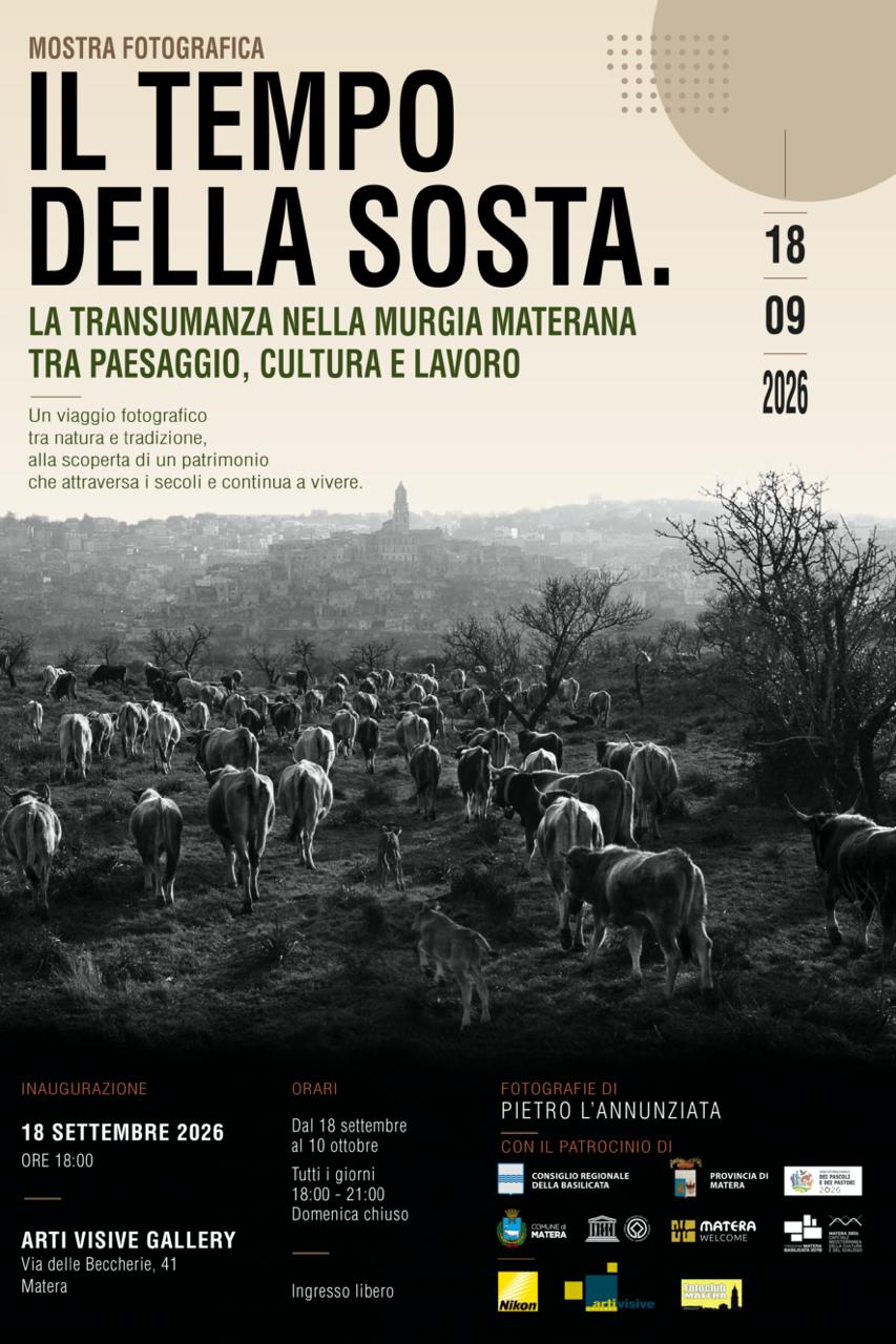 Locandina il tempo della sosta