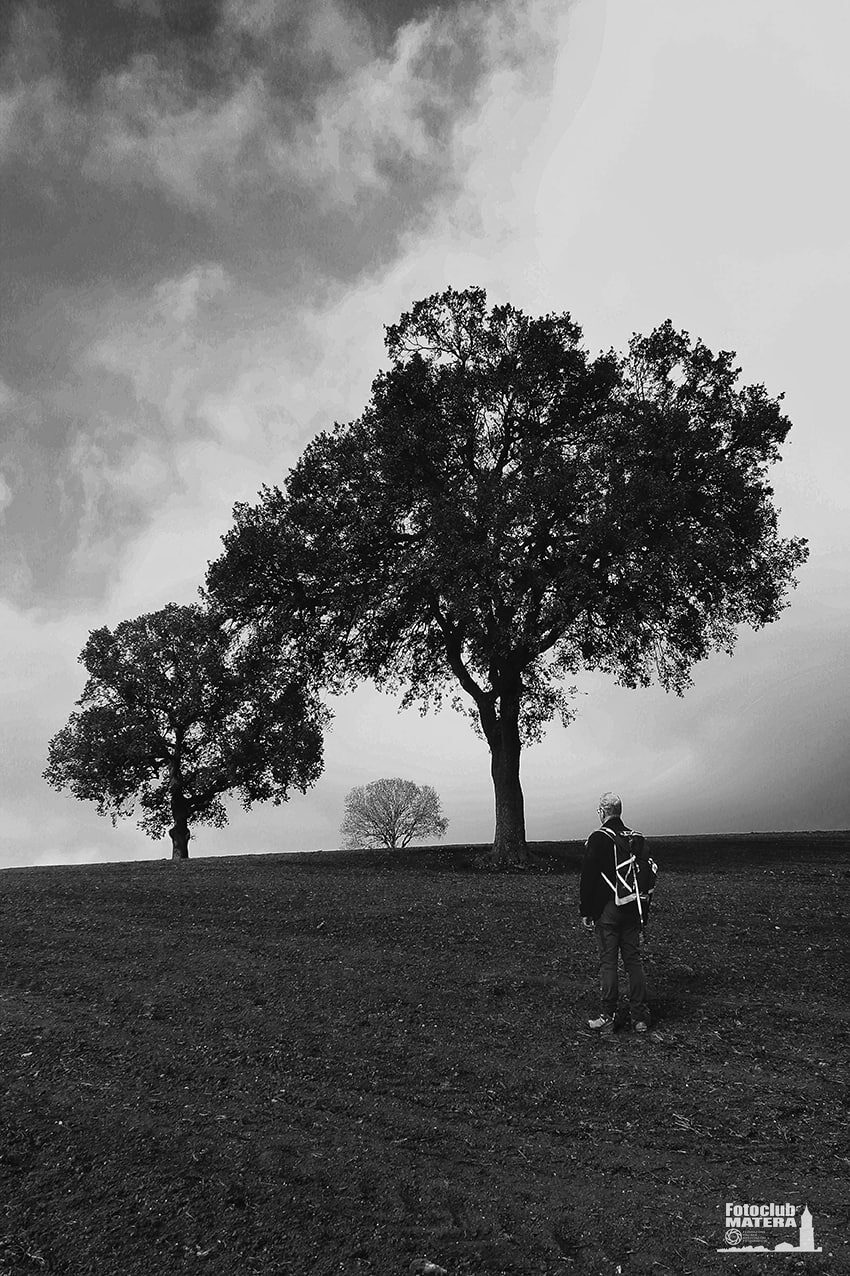Silence Nature